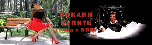стаф Абинск