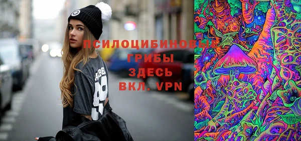 а пвп мука Абаза