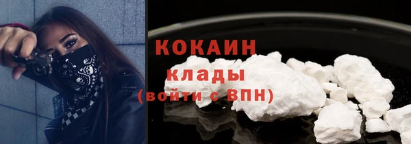 стаф Абинск