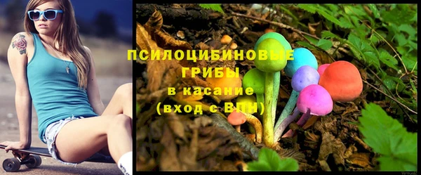 стаф Абинск