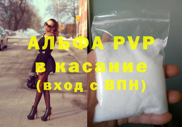 стаф Абинск