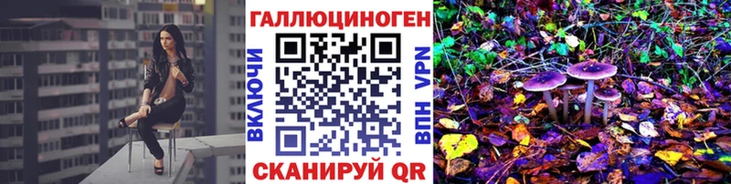 дарнет шоп  darknet телеграм  Галлюциногенные грибы мухоморы  Чегем 